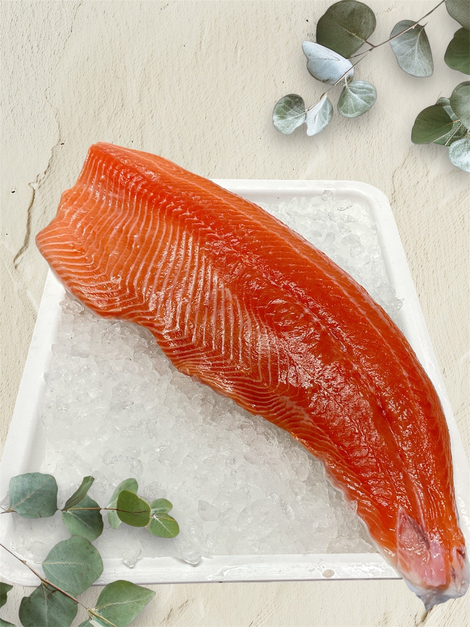 Atlantic Salmon Fillets One Side $56/kg
