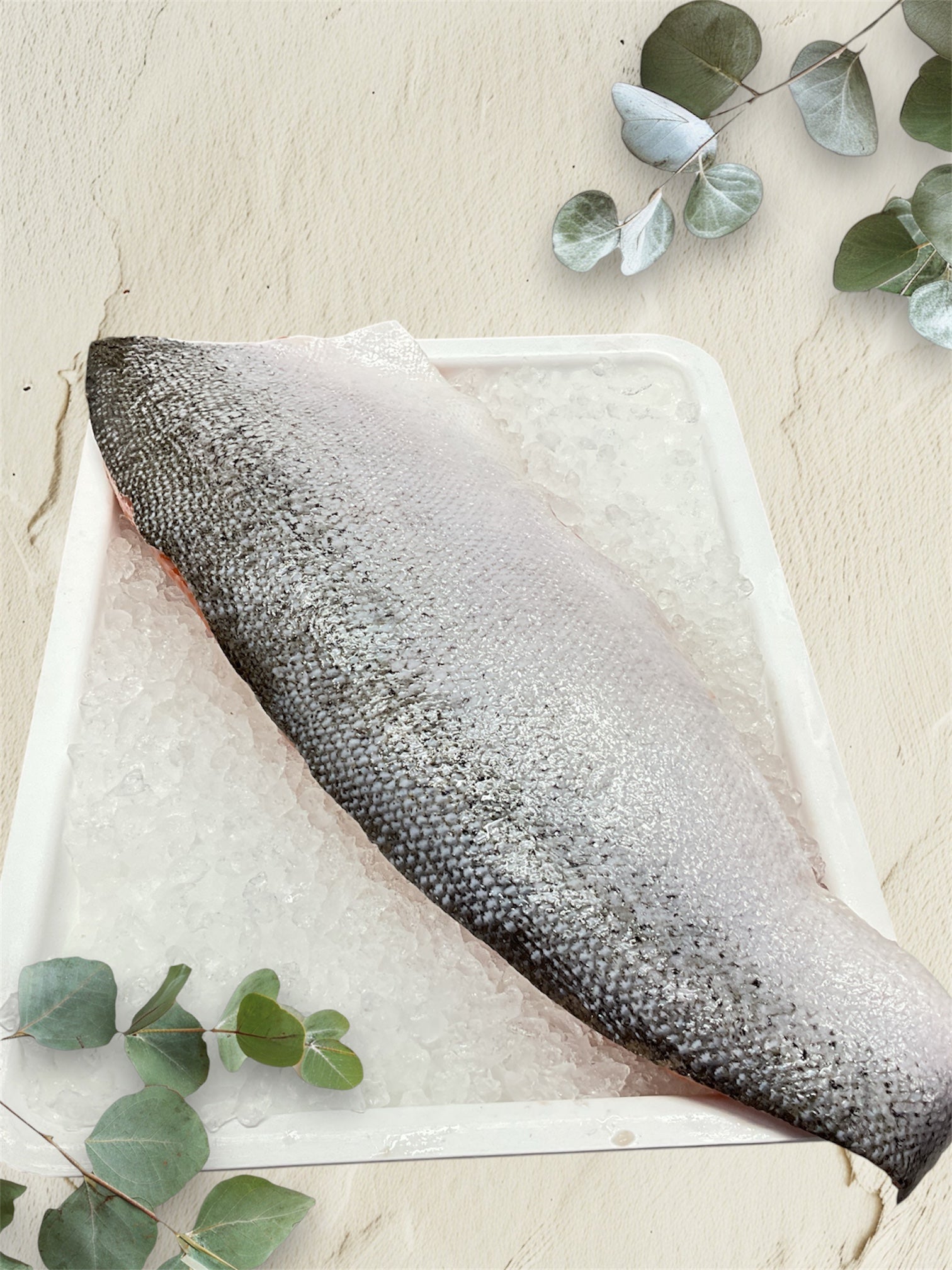 Atlantic Salmon Fillets One Side $56/kg
