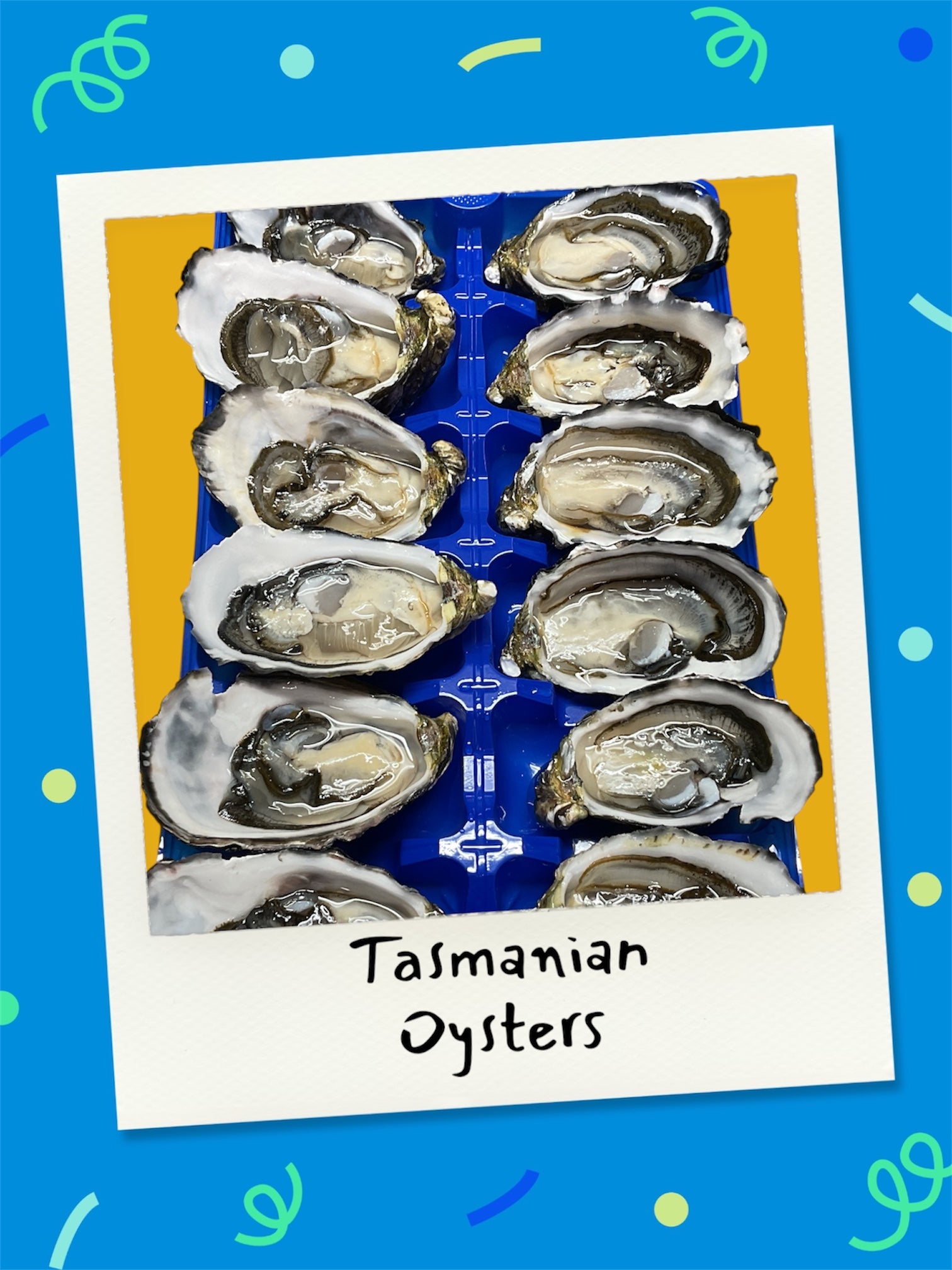 Oyster Dozen
