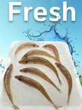 Fresh Silver Whiting
