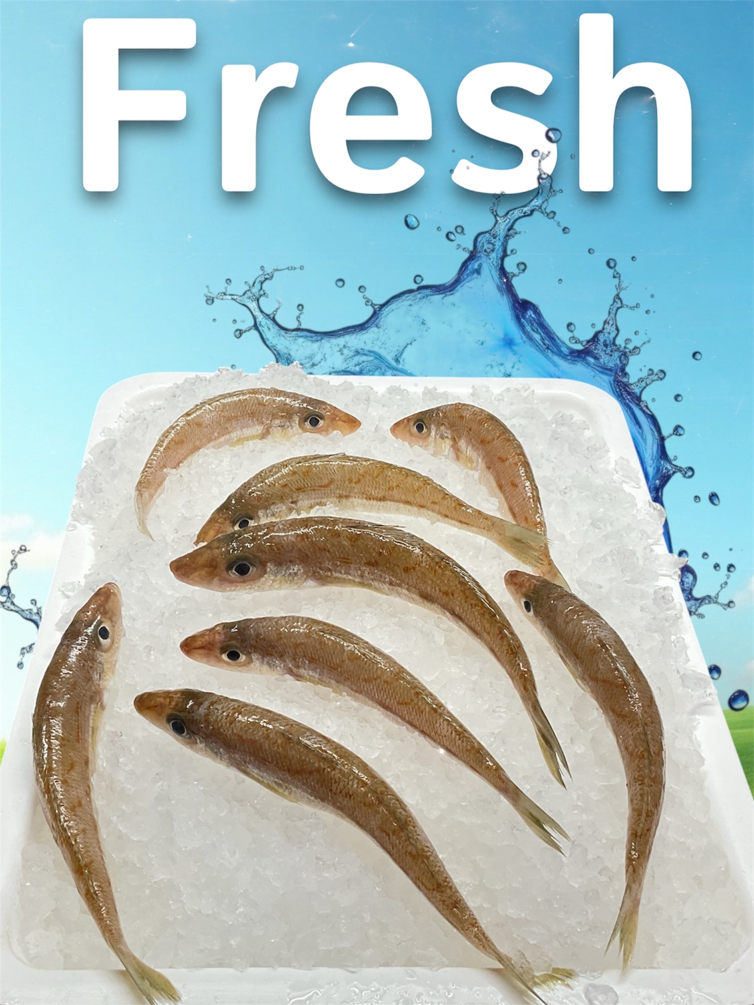 Fresh Silver Whiting