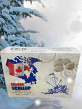 Frozen Scallops
