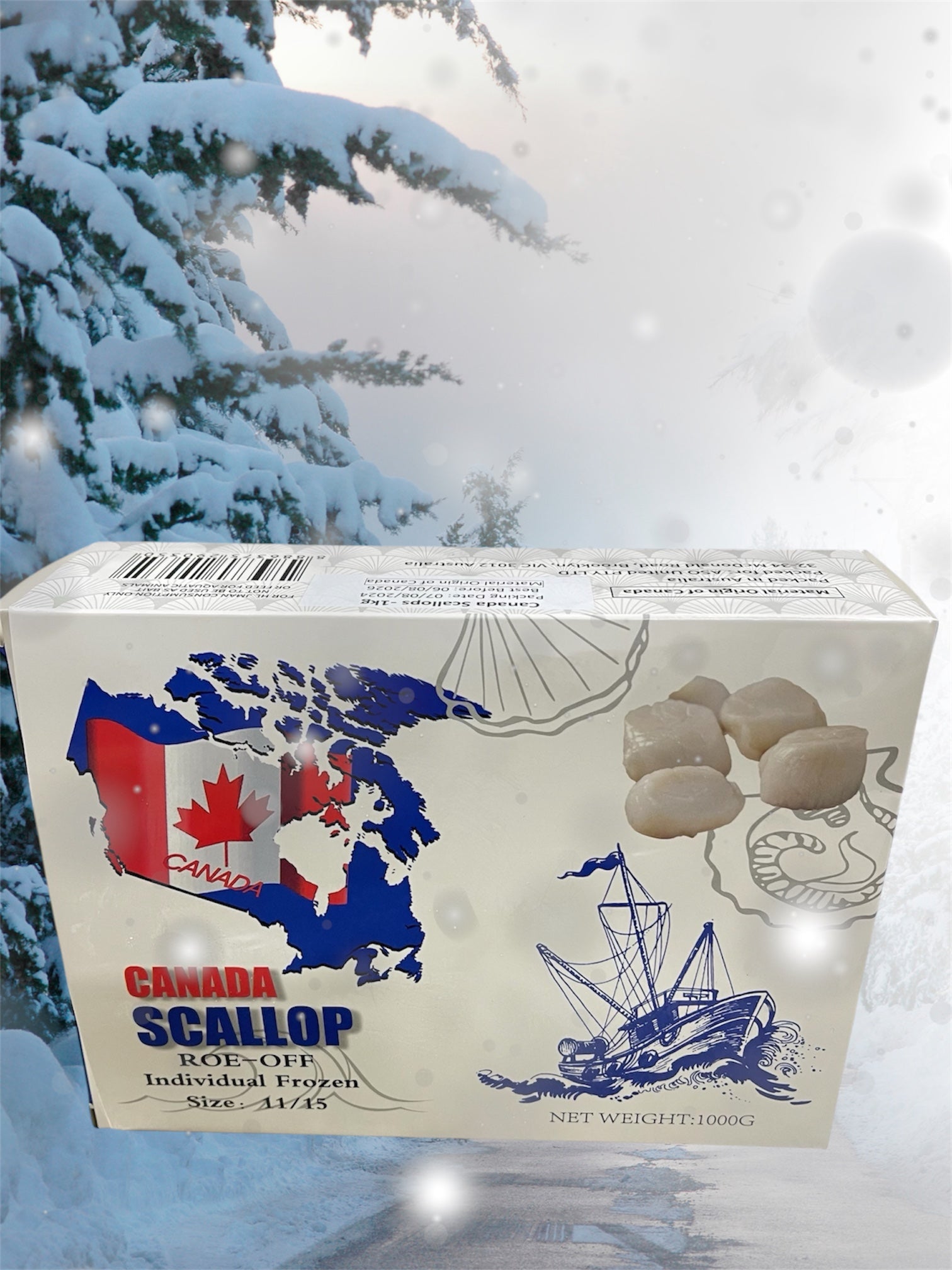Frozen Scallops