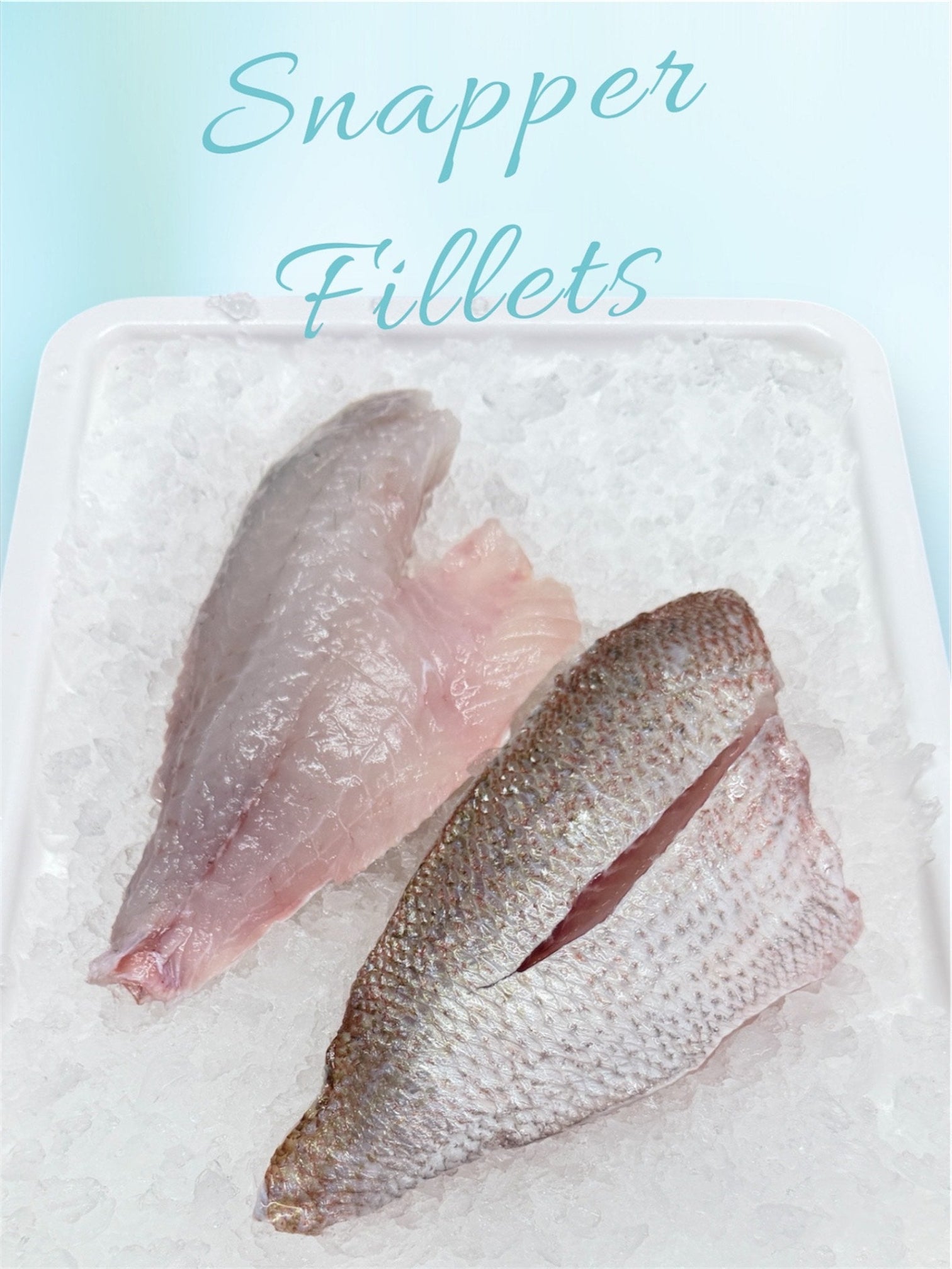 Snapper Fillets
